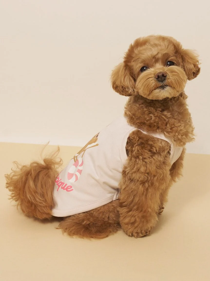 gelato pique(ジェラートピケ)【CAT&DOG】【接触冷感】サマーベア柄プルオーバー|全3色