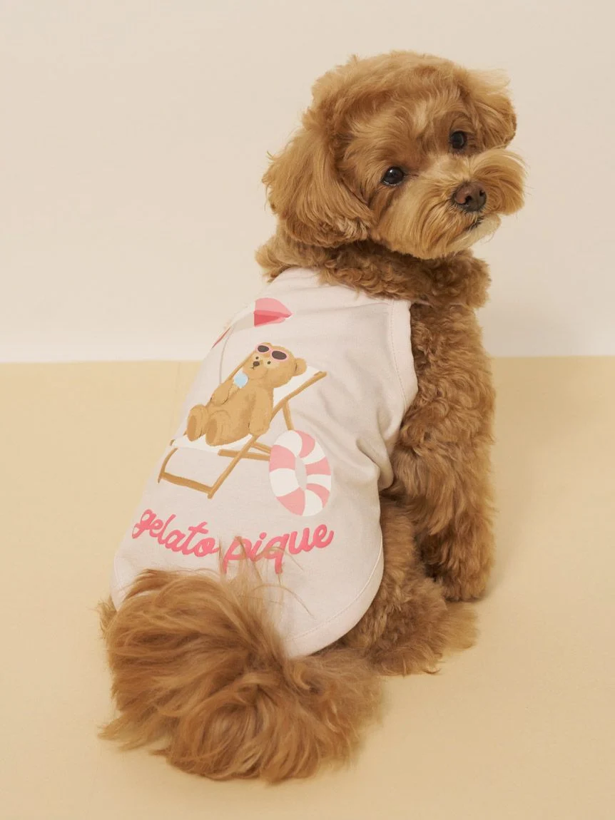 gelato pique(ジェラートピケ)【CAT&DOG】【接触冷感】サマーベア柄プルオーバー|全3色