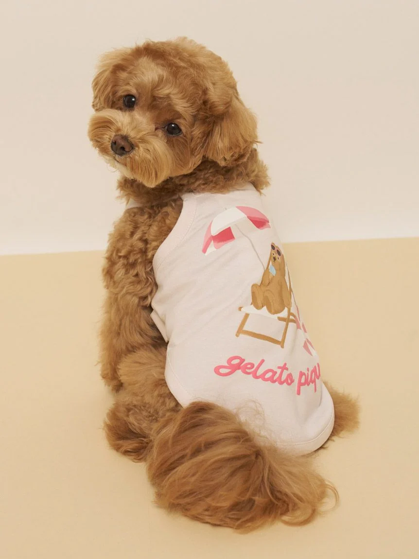 gelato pique(ジェラートピケ)【CAT&DOG】【接触冷感】サマーベア柄プルオーバー|全3色