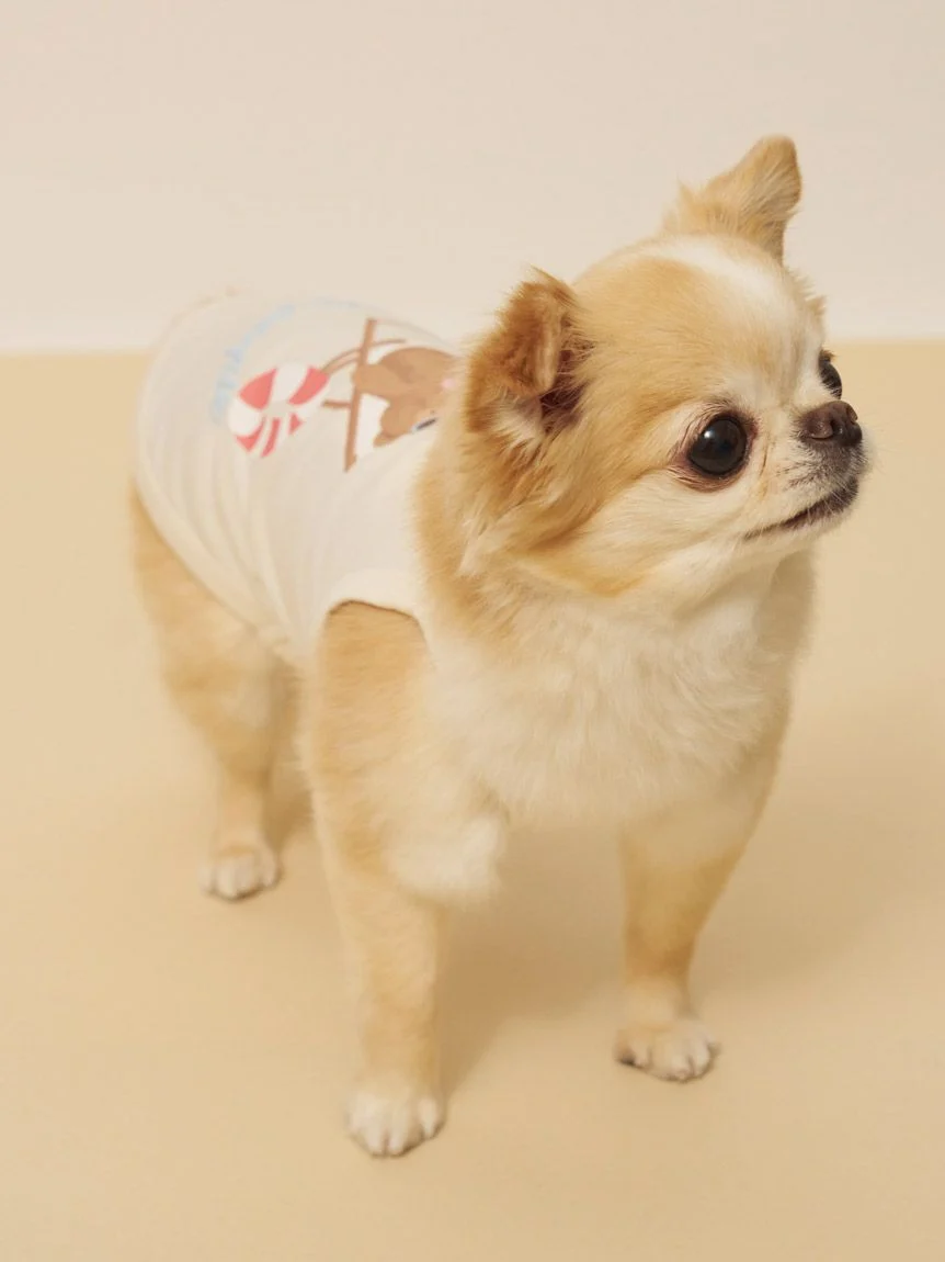 gelato pique(ジェラートピケ)【CAT&DOG】【接触冷感】サマーベア柄プルオーバー|全3色