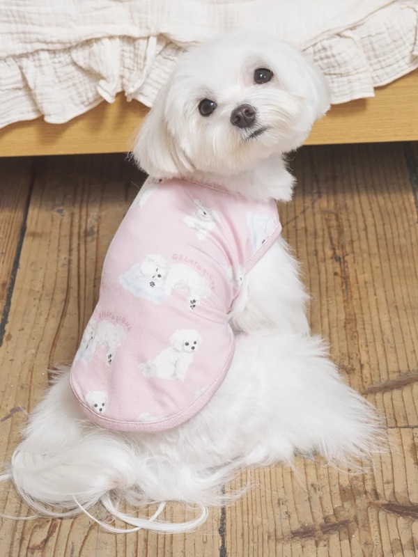 gelato pique(ジェラートピケ)【CAT&DOG】【販路限定商品】マルチーズ柄カットソープルオーバー|全2色