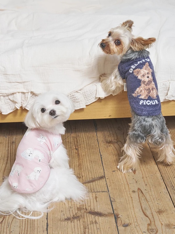 gelato pique(ジェラートピケ)【CAT&DOG】【販路限定商品】マルチーズ柄カットソープルオーバー|全2色