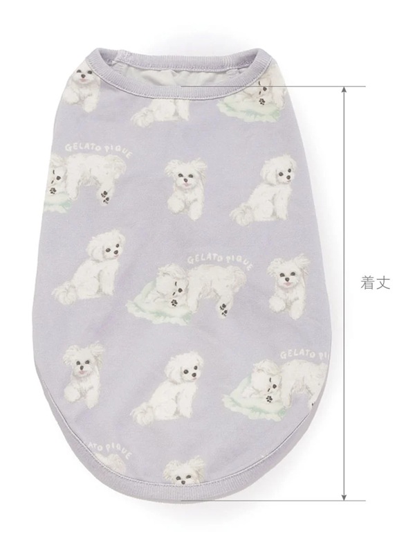 gelato pique(ジェラートピケ)【CAT&DOG】【販路限定商品】マルチーズ柄カットソープルオーバー|全2色