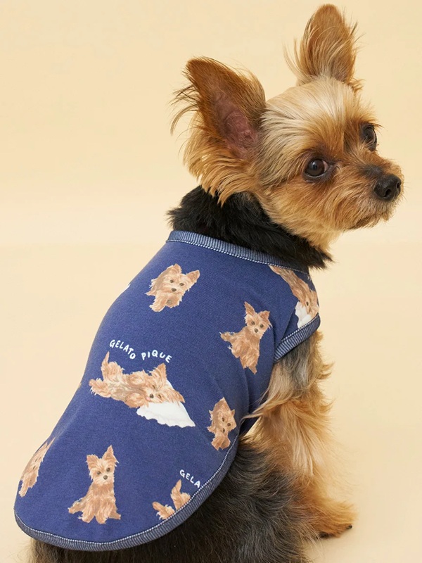 gelato pique（ジェラートピケ）【CAT&DOG】【販路限定商品】ヨークシャーテリア柄カットソープルオーバー｜全1色