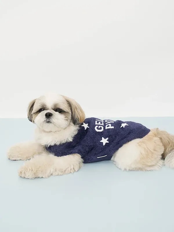 gelato pique(ジェラートピケ)【CAT&DOG】スムーズィー空モチーフプルオーバー|全2色