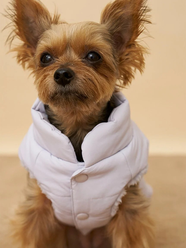 gelato pique(ジェラートピケ)【CAT&DOG】【販路限定商品】中綿ベスト|全3色