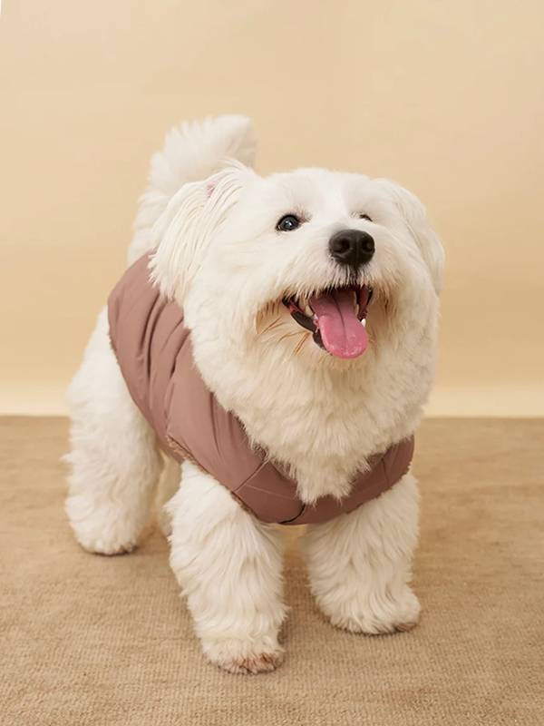 gelato pique(ジェラートピケ)【CAT&DOG】【販路限定商品】中綿ベスト ラージサイズ|全3色