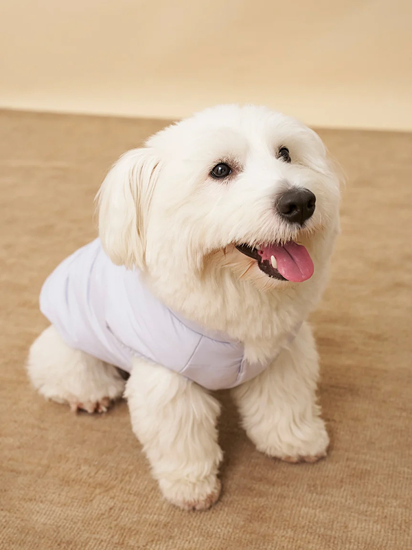gelato pique(ジェラートピケ)【CAT&DOG】【販路限定商品】中綿ベスト ラージサイズ|全3色