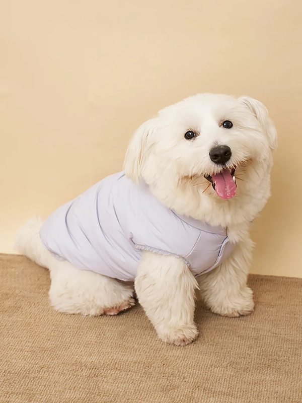 gelato pique(ジェラートピケ)【CAT&DOG】【販路限定商品】中綿ベスト ラージサイズ|全3色