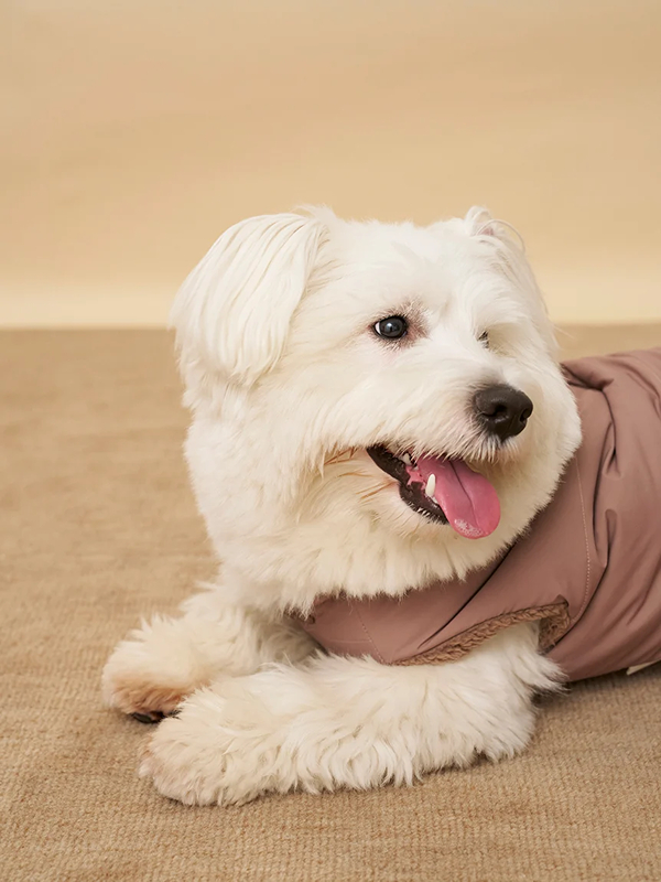 gelato pique(ジェラートピケ)【CAT&DOG】【販路限定商品】中綿ベスト ラージサイズ|全3色
