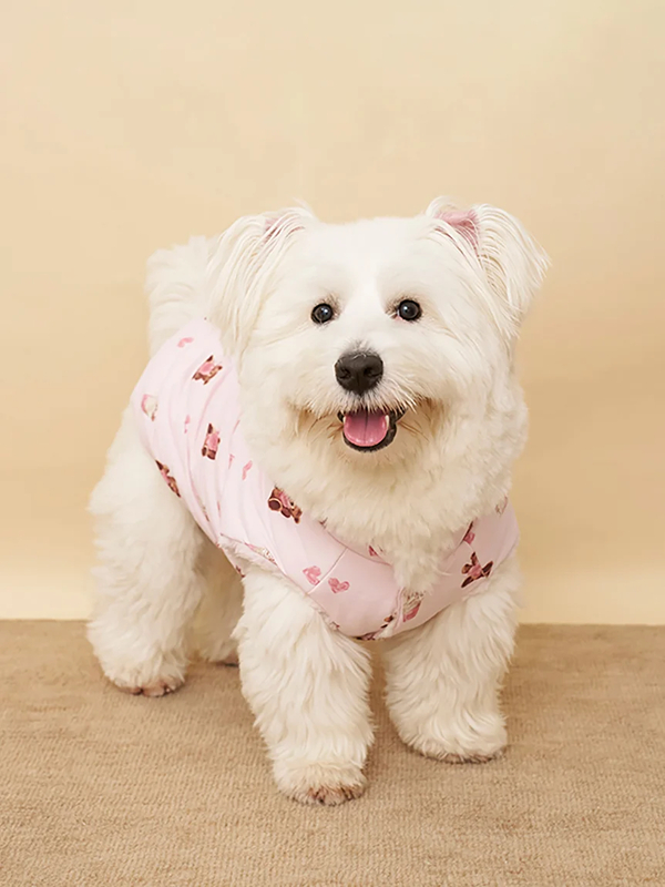 gelato pique(ジェラートピケ)【CAT&DOG】【販路限定商品】中綿ベスト ラージサイズ|全3色