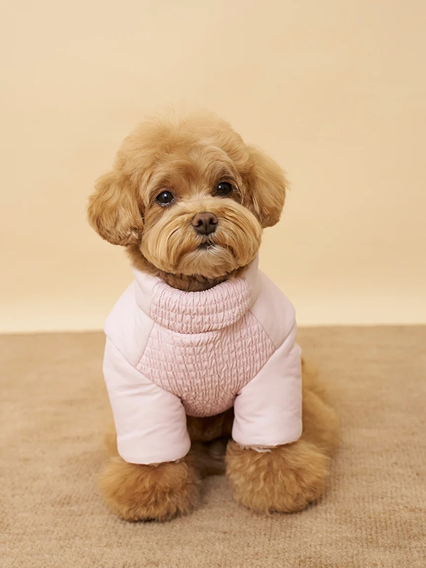 gelato pique(ジェラートピケ)【CAT&DOG】【販路限定商品】バックオープンパファージャケット|全2色