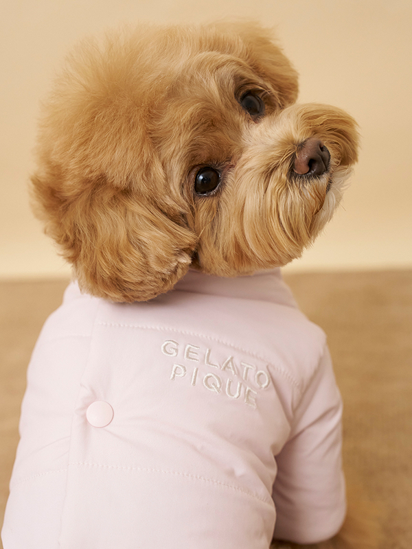 gelato pique(ジェラートピケ)【CAT&DOG】【販路限定商品】バックオープンパファージャケット|全2色