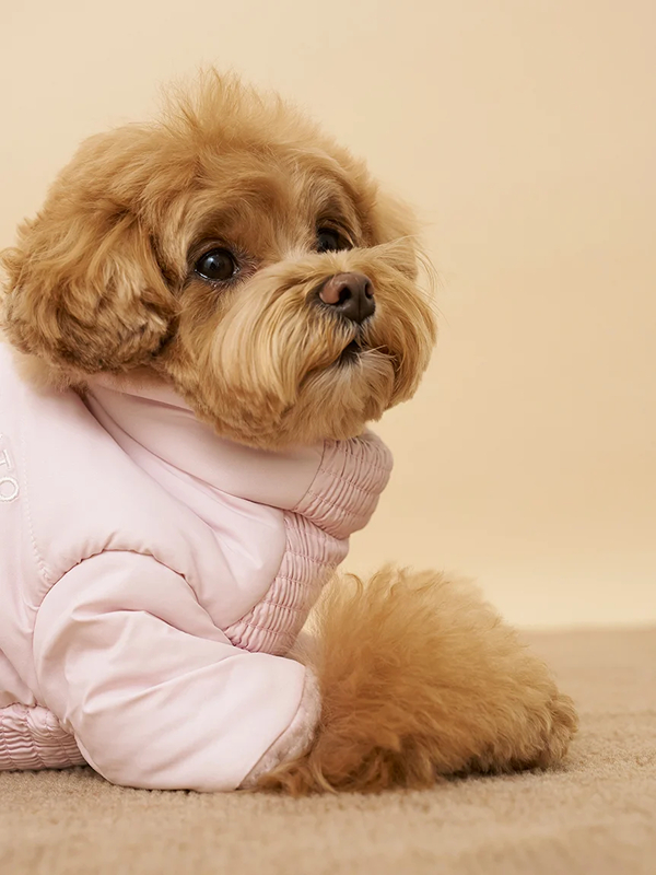 gelato pique(ジェラートピケ)【CAT&DOG】【販路限定商品】バックオープンパファージャケット|全2色