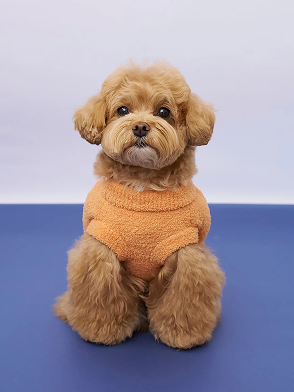 gelato pique(ジェラートピケ)【CAT&DOG】【販路限定商品】パンプキンプルオーバー