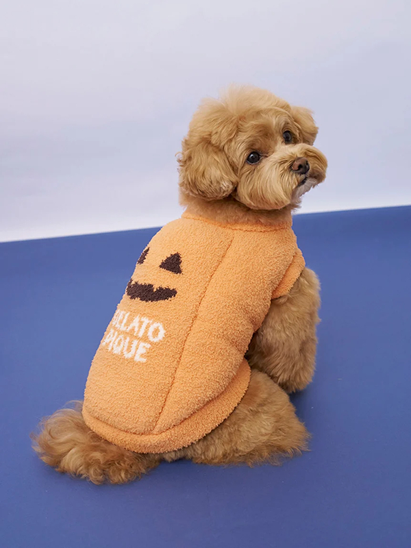 gelato pique(ジェラートピケ)【CAT&DOG】【販路限定商品】パンプキンプルオーバー