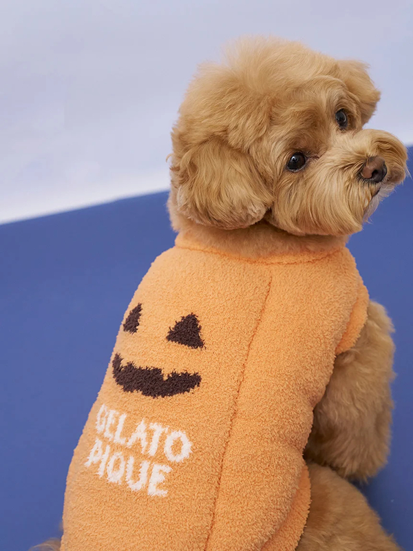 gelato pique(ジェラートピケ)【CAT&DOG】【販路限定商品】パンプキンプルオーバー