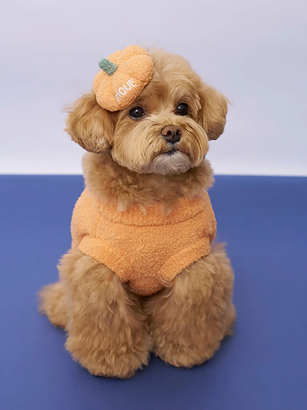 gelato pique(ジェラートピケ)【CAT&DOG】【販路限定商品】パンプキンプルオーバー