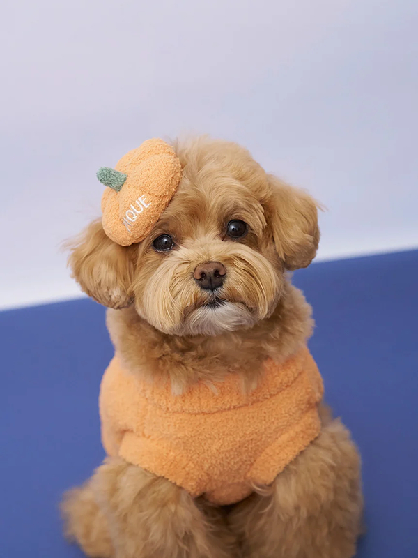 gelato pique(ジェラートピケ)【CAT&DOG】【販路限定商品】パンプキンプルオーバー