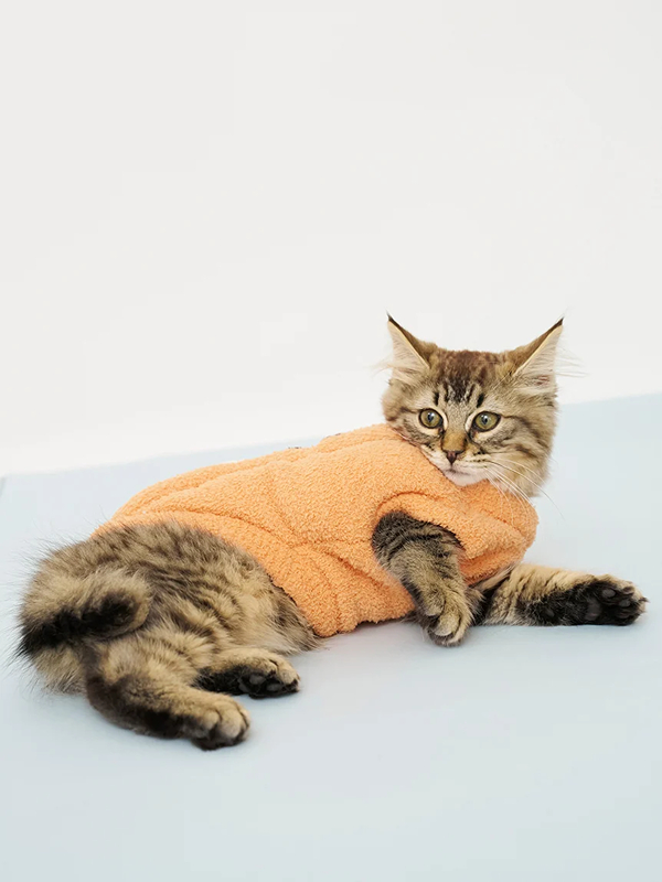 gelato pique(ジェラートピケ)【CAT&DOG】【販路限定商品】パンプキンプルオーバー