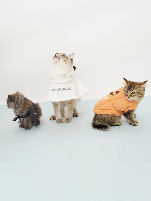 gelato pique(ジェラートピケ)【CAT&DOG】【販路限定商品】パンプキンプルオーバー