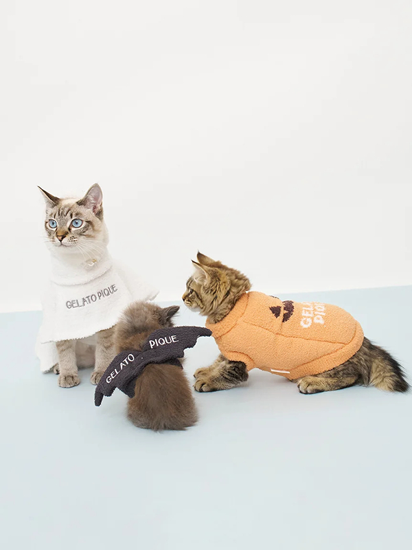 gelato pique(ジェラートピケ)【CAT&DOG】【販路限定商品】パンプキンプルオーバー