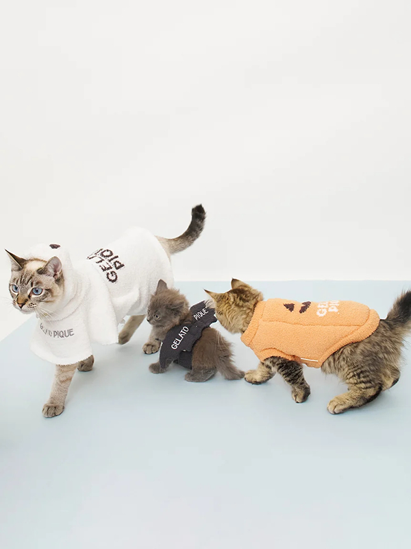 gelato pique(ジェラートピケ)【CAT&DOG】【販路限定商品】パンプキンプルオーバー