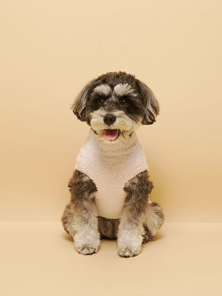 gelato pique(ジェラートピケ)【CAT&DOG】【販路限定商品】ベビモコシュナウザー柄プルオーバー|全2色