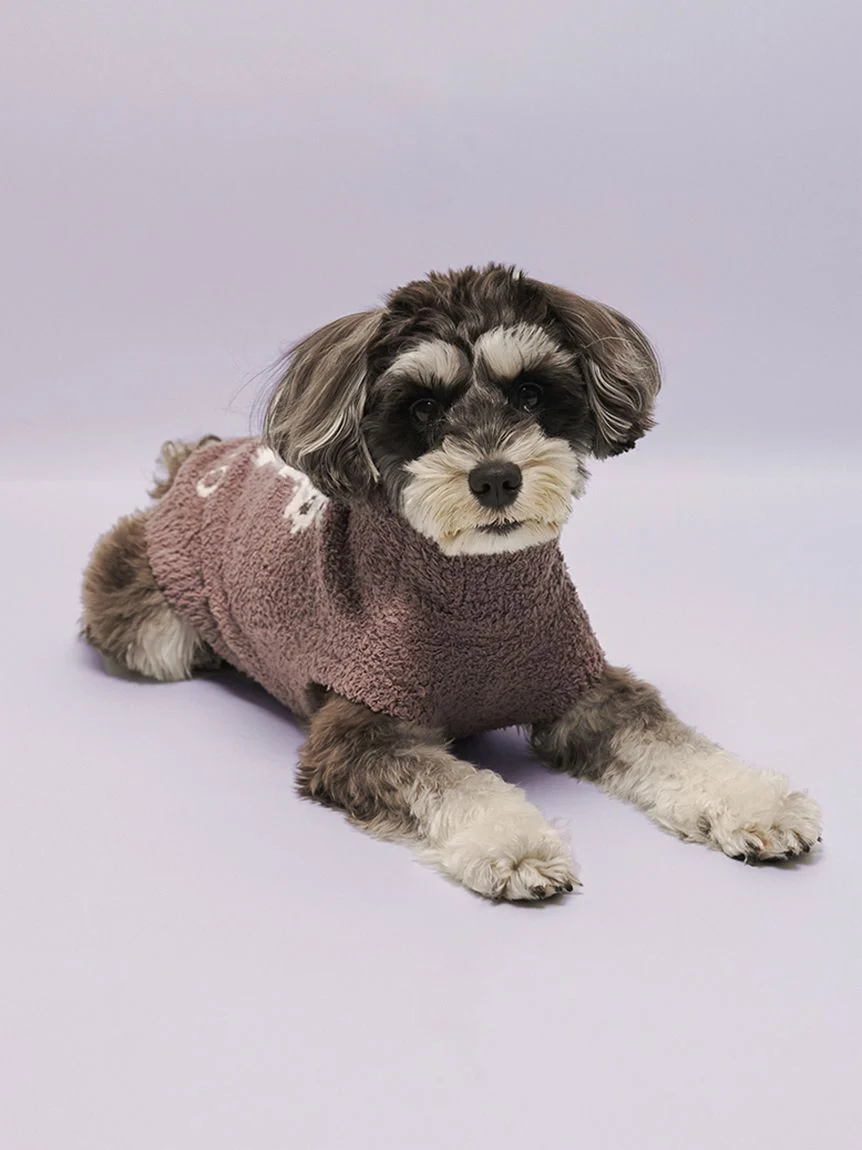 gelato pique(ジェラートピケ)【CAT&DOG】【販路限定商品】ベビモコシュナウザー柄プルオーバー|全2色