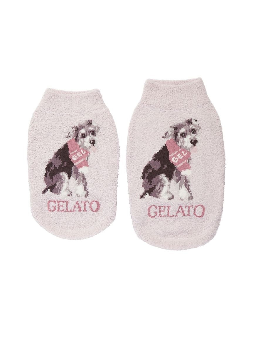 gelato pique(ジェラートピケ)【CAT&DOG】【販路限定商品】ベビモコシュナウザー柄プルオーバー|全2色