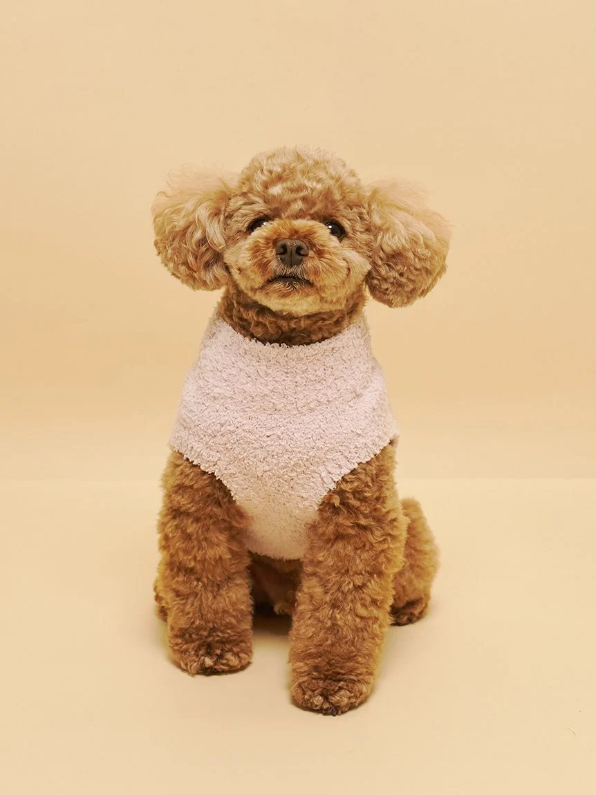 gelato pique(ジェラートピケ)【CAT&DOG】【販路限定商品】ベビモコトイプードル柄プルオーバー|全3色