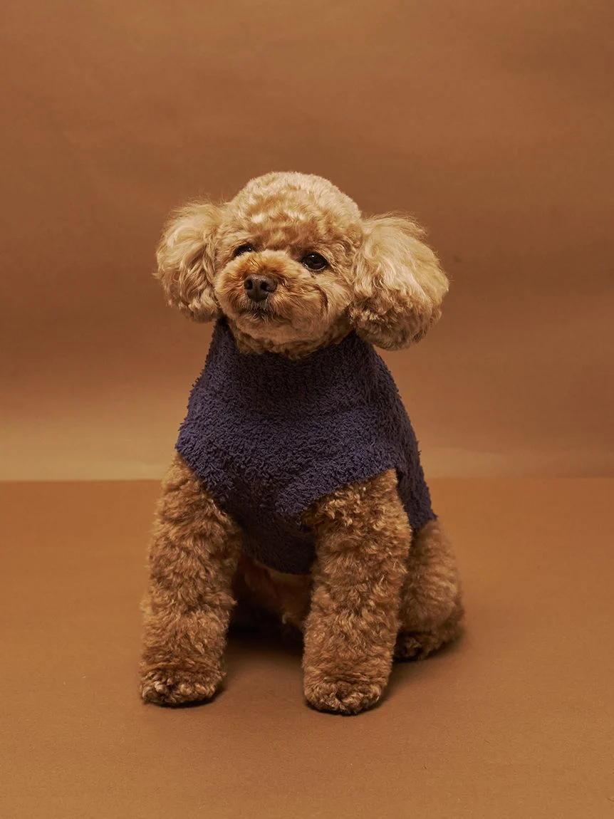 gelato pique(ジェラートピケ)【CAT&DOG】【販路限定商品】ベビモコトイプードル柄プルオーバー|全3色