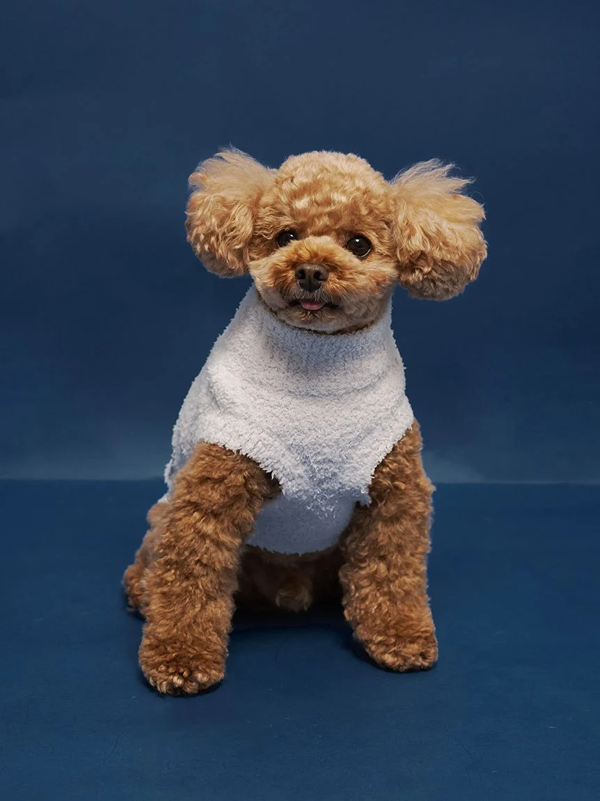 gelato pique(ジェラートピケ)【CAT&DOG】【販路限定商品】ベビモコトイプードル柄プルオーバー|全3色