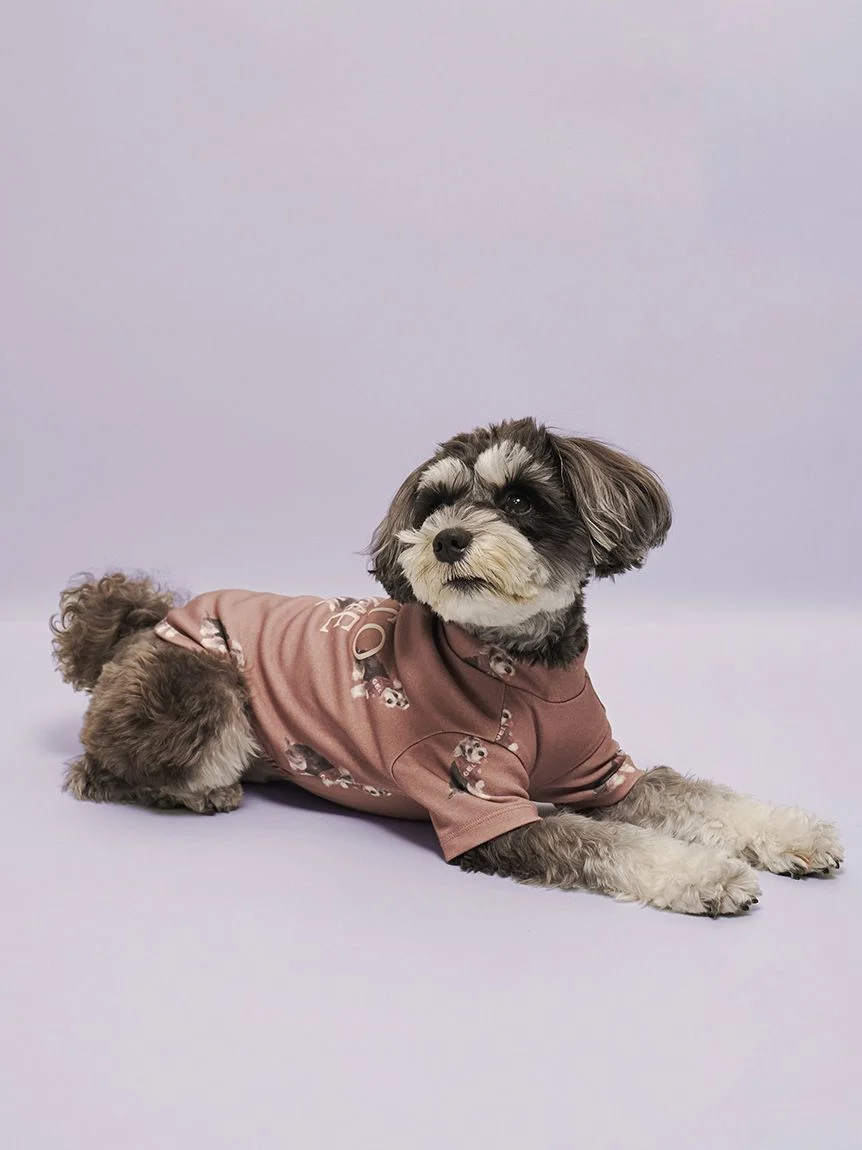 gelato pique(ジェラートピケ)【CAT&DOG】【販路限定商品】シュナウザー柄カットソープルオーバー|全2色
