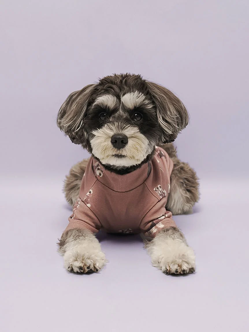 gelato pique(ジェラートピケ)【CAT&DOG】【販路限定商品】シュナウザー柄カットソープルオーバー|全2色