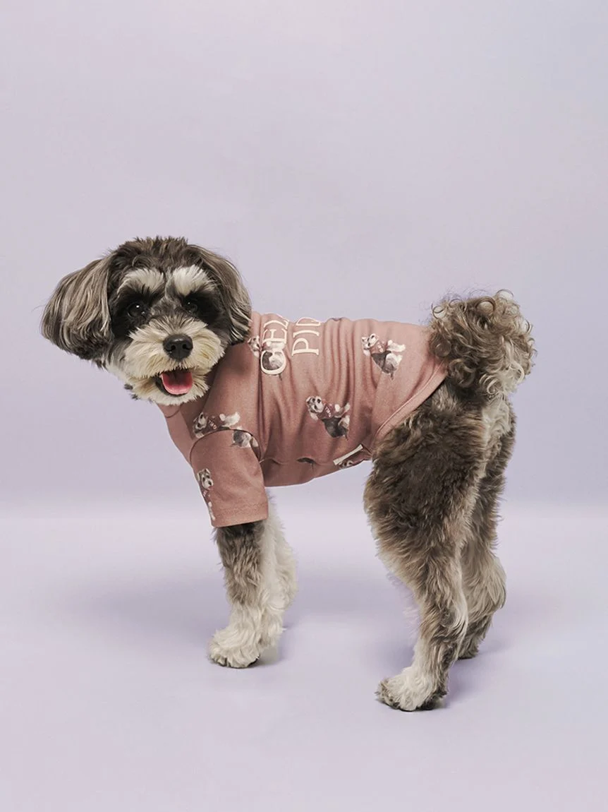 gelato pique(ジェラートピケ)【CAT&DOG】【販路限定商品】シュナウザー柄カットソープルオーバー|全2色