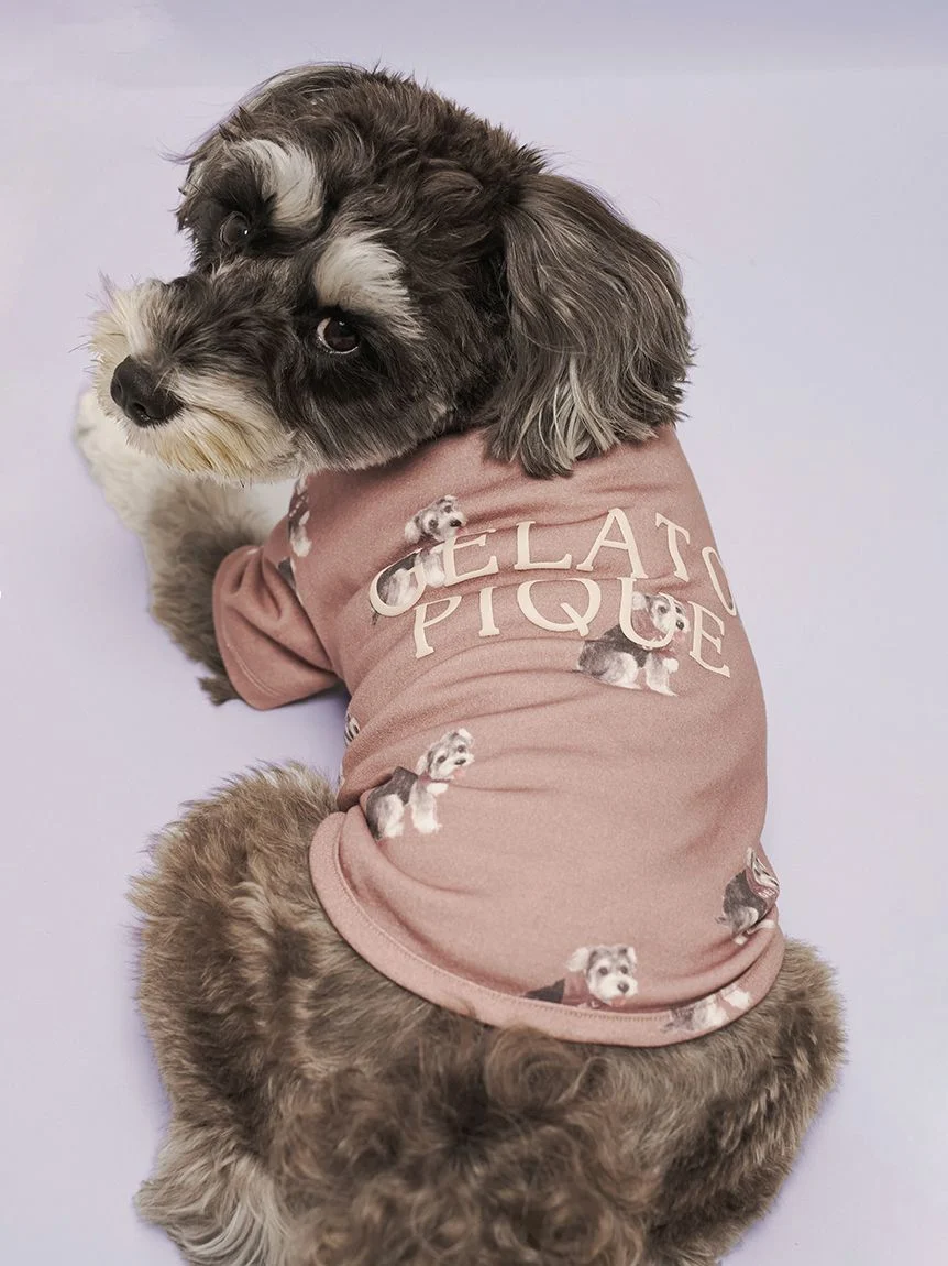 gelato pique(ジェラートピケ)【CAT&DOG】【販路限定商品】シュナウザー柄カットソープルオーバー|全2色