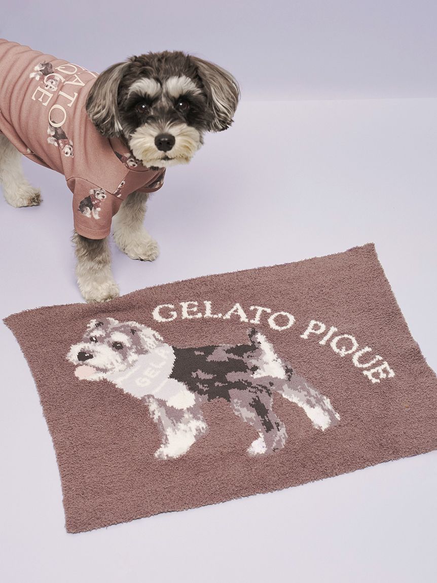gelato pique(ジェラートピケ)【CAT&DOG】【販路限定商品】シュナウザー柄カットソープルオーバー|全2色