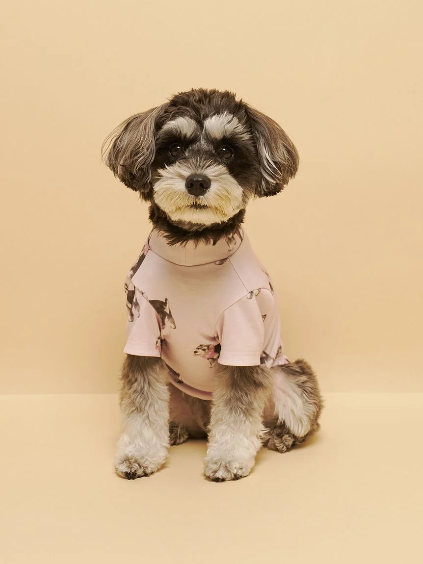 gelato pique(ジェラートピケ)【CAT&DOG】【販路限定商品】シュナウザー柄カットソープルオーバー|全2色