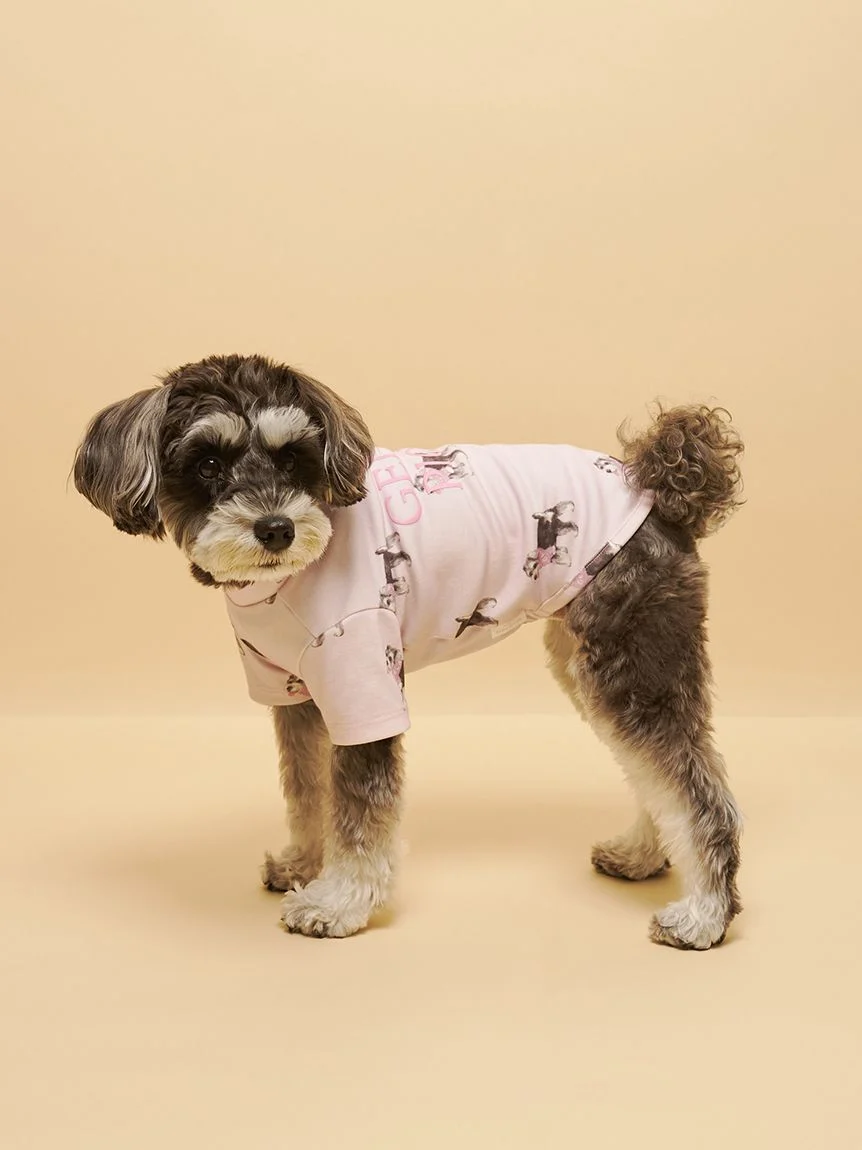 gelato pique(ジェラートピケ)【CAT&DOG】【販路限定商品】シュナウザー柄カットソープルオーバー|全2色