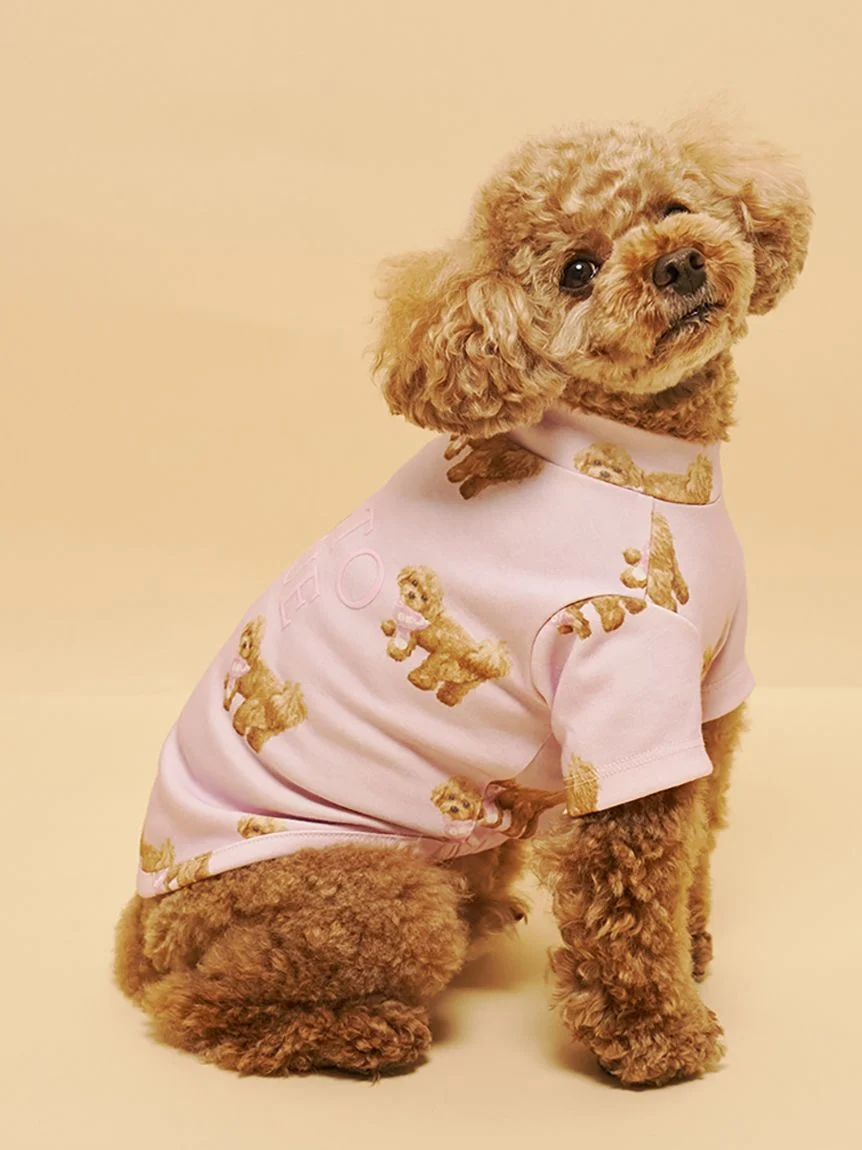 gelato pique(ジェラートピケ)【CAT&DOG】【販路限定商品】トイプードル柄カットソープルオーバー|全2色