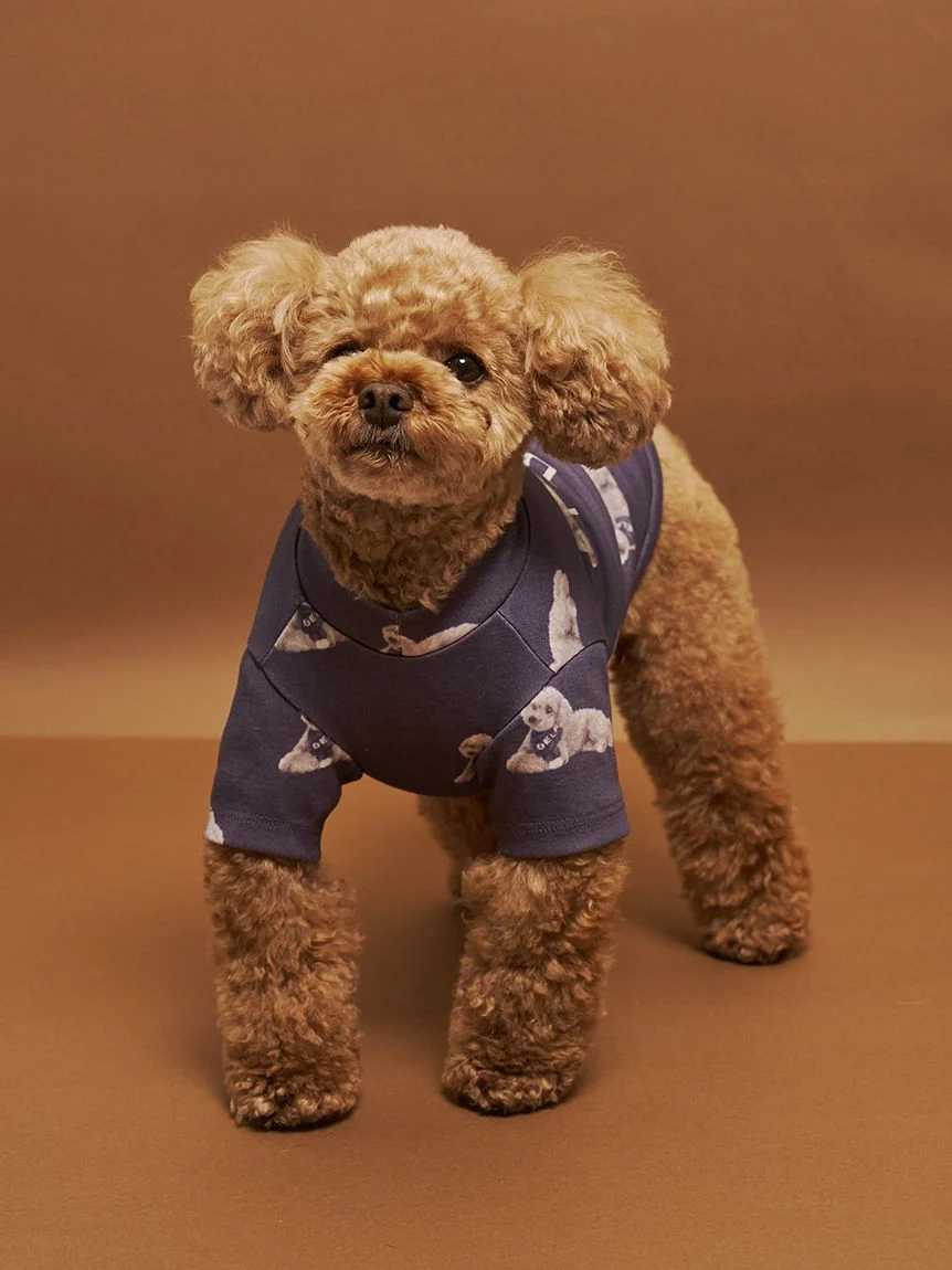gelato pique(ジェラートピケ)【CAT&DOG】【販路限定商品】トイプードル柄カットソープルオーバー|全2色