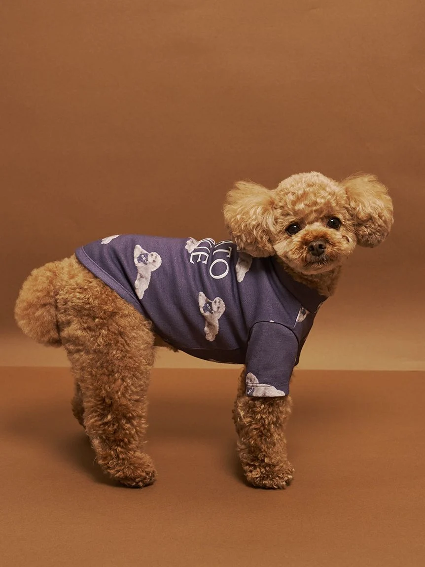 gelato pique(ジェラートピケ)【CAT&DOG】【販路限定商品】トイプードル柄カットソープルオーバー|全2色