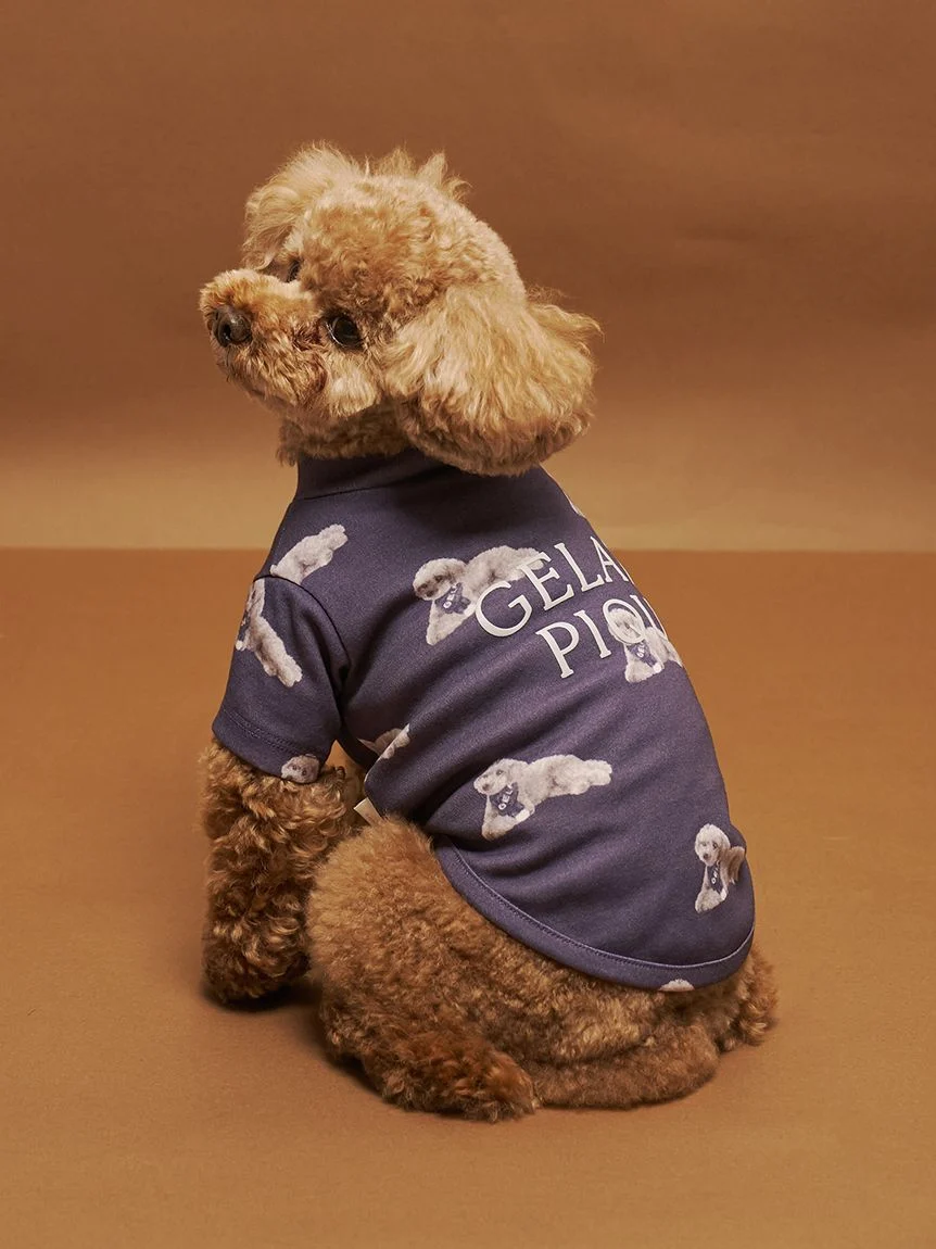 gelato pique(ジェラートピケ)【CAT&DOG】【販路限定商品】トイプードル柄カットソープルオーバー|全2色