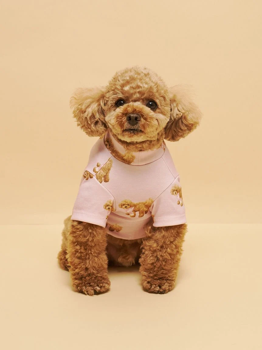 gelato pique(ジェラートピケ)【CAT&DOG】【販路限定商品】トイプードル柄カットソープルオーバー|全2色