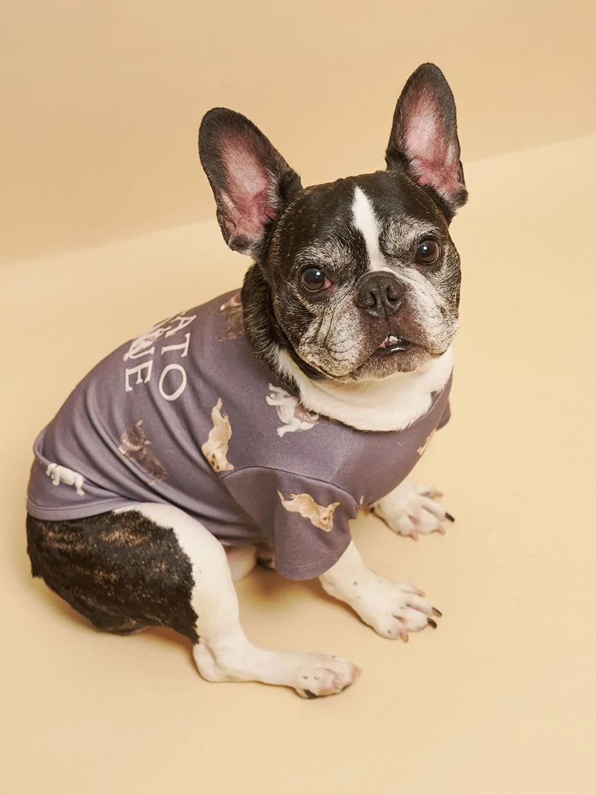 gelato pique(ジェラートピケ)【CAT&DOG】【販路限定商品】フレンチブルドッグ柄カットソープルオーバー|全2色