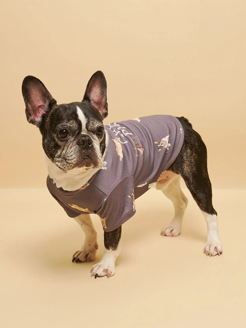 gelato pique(ジェラートピケ)【CAT&DOG】【販路限定商品】フレンチブルドッグ柄カットソープルオーバー|全2色