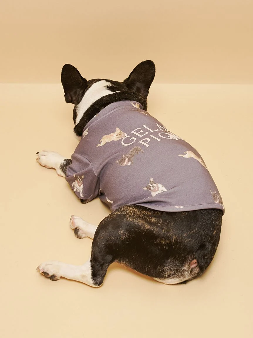 gelato pique(ジェラートピケ)【CAT&DOG】【販路限定商品】フレンチブルドッグ柄カットソープルオーバー|全2色