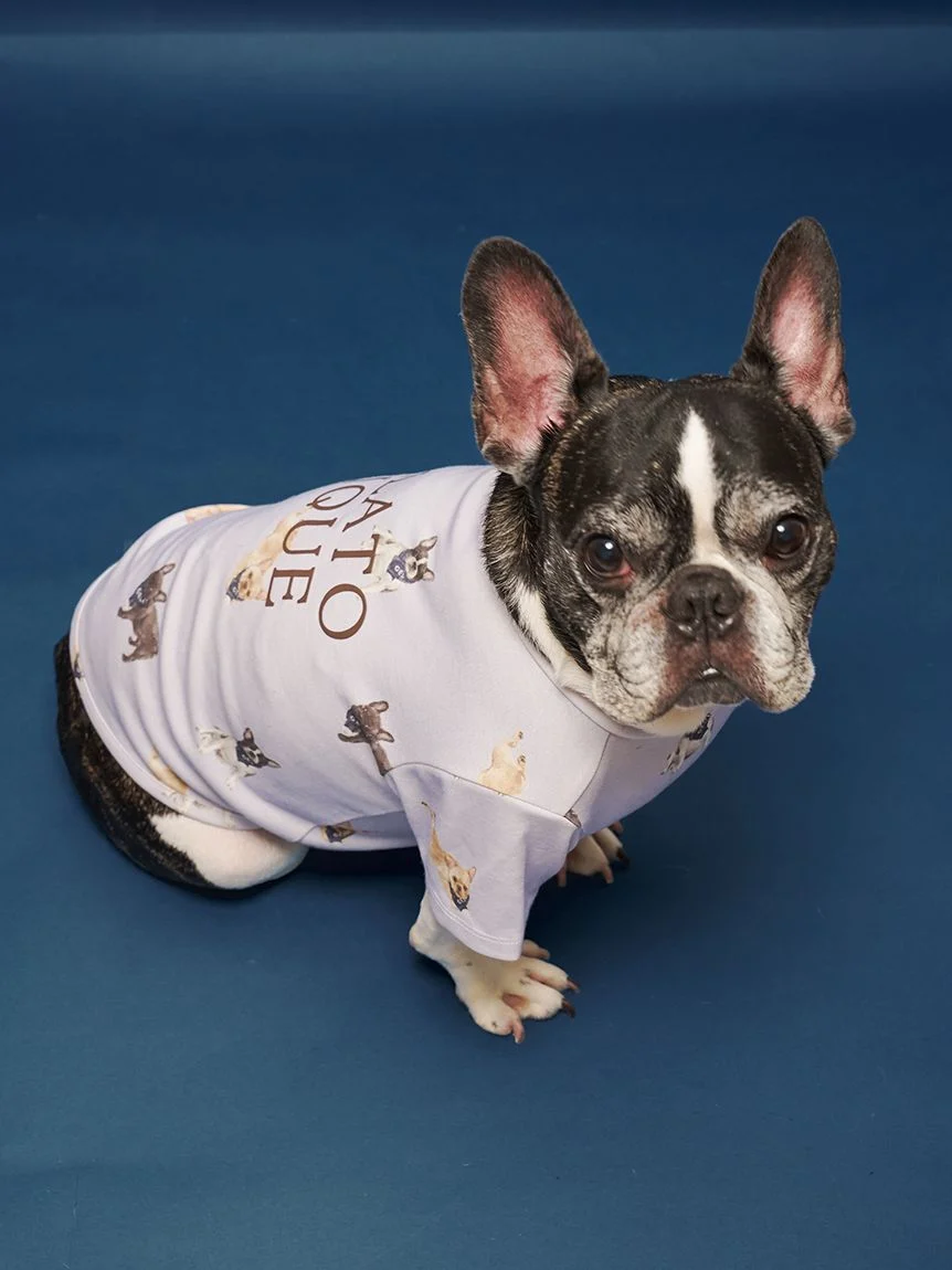 gelato pique(ジェラートピケ)【CAT&DOG】【販路限定商品】フレンチブルドッグ柄カットソープルオーバー|全2色