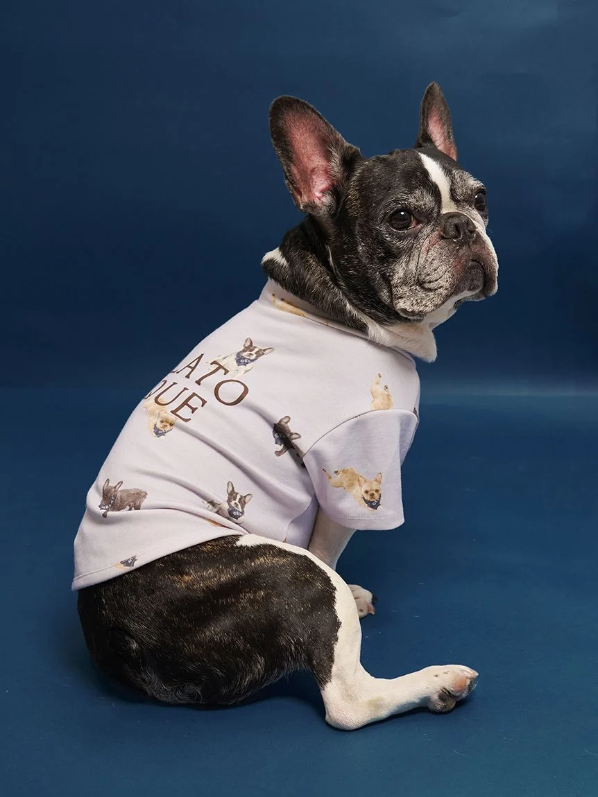 gelato pique(ジェラートピケ)【CAT&DOG】【販路限定商品】フレンチブルドッグ柄カットソープルオーバー|全2色